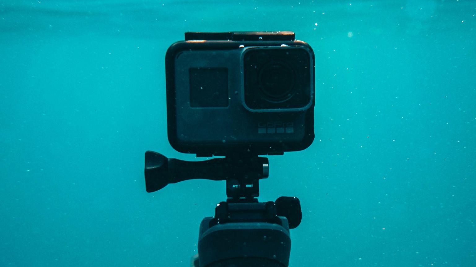 Top Cameras for Beginners in Underwater Photography