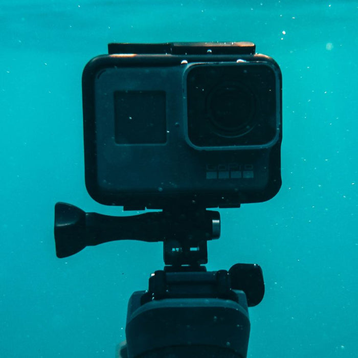 Top Cameras for Beginners in Underwater Photography