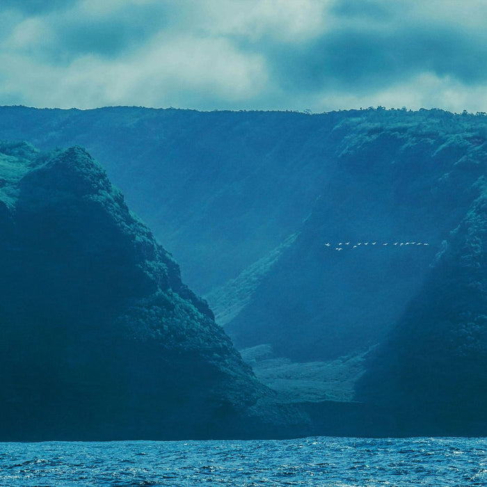 Explore the Best Dive Sites in Kauai, Hawaii