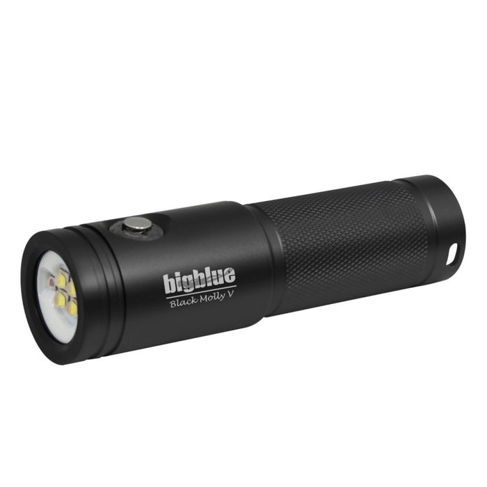 Bigblue AL2600XWP-II 2600 Lumen Extra-Wide Beam LED Dive Light