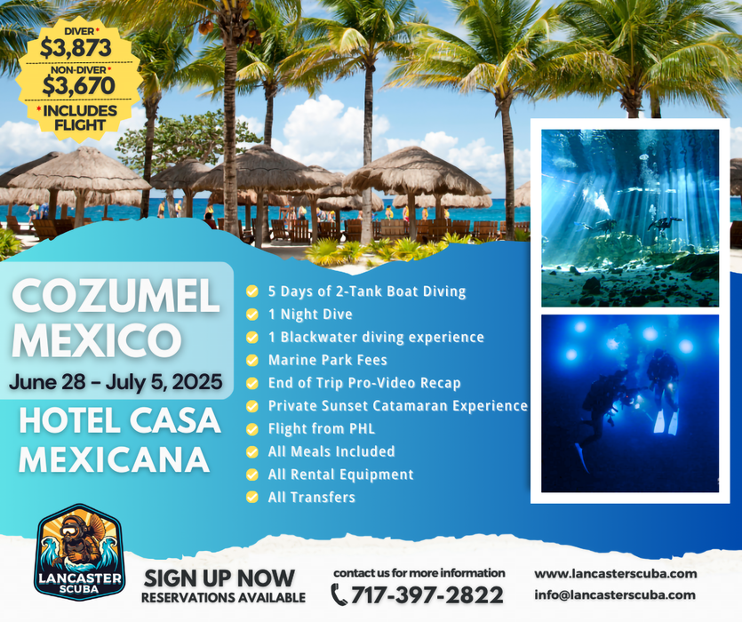 Travel 2025 Cozumel Mexico June 28 - July 5, 2025 - Dive into Authentic Experiences