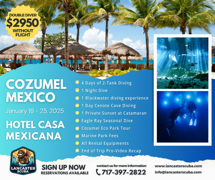 Travel 2025 Cozumel Mexico January 18-25, 2025 - Dive into Authentic Experiences