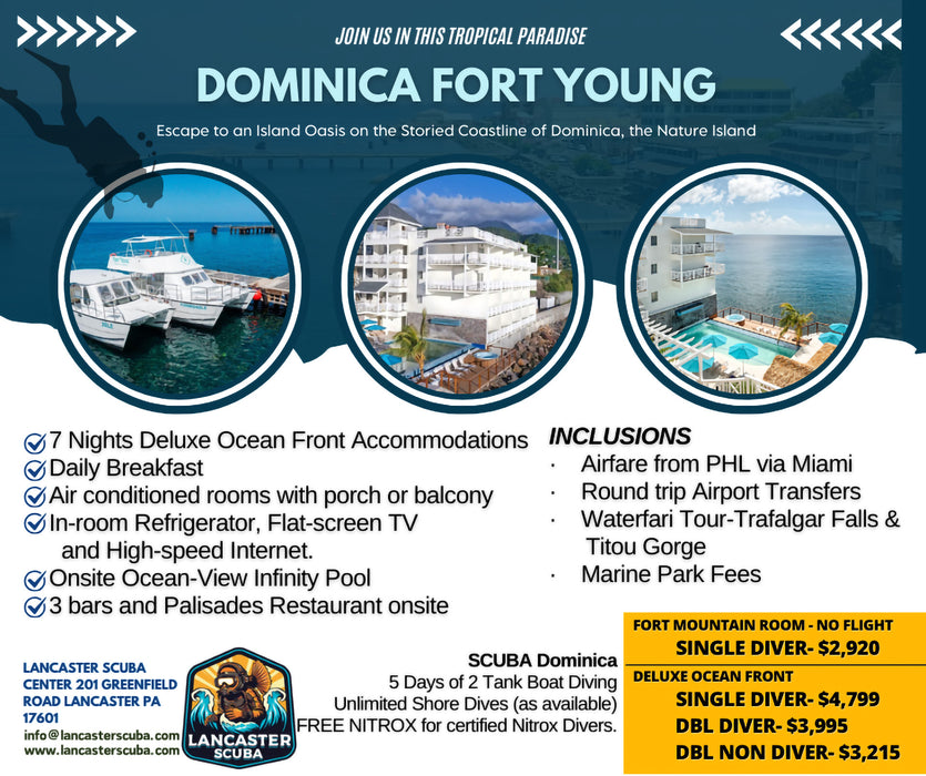 Travel 2025 Dominica - Fort Young, March 1 - 8, 2025