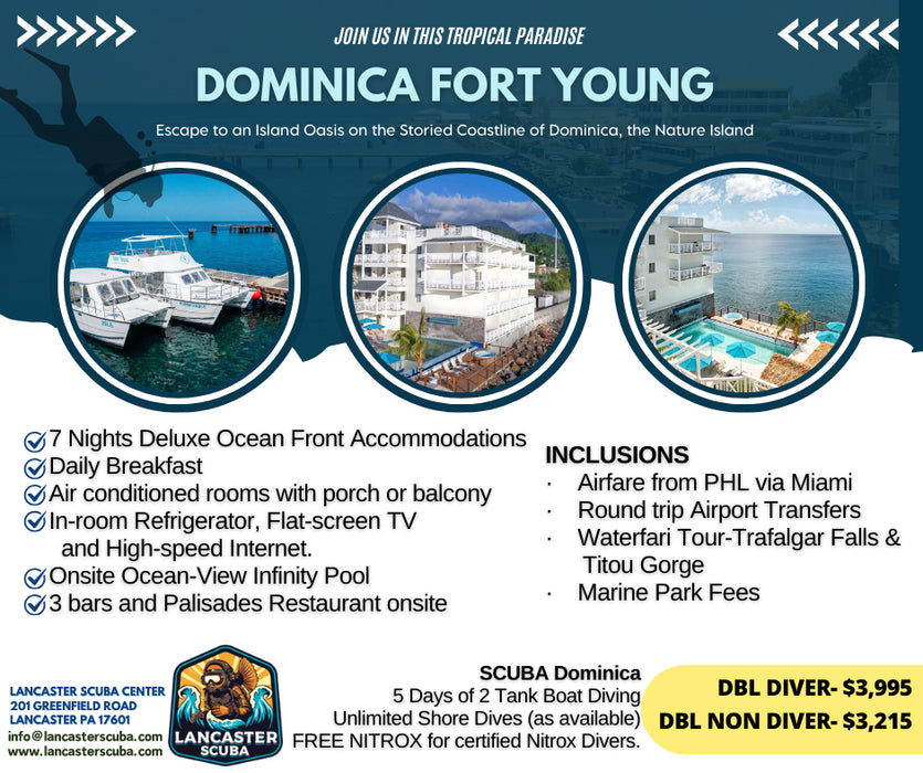 Travel 2025 Dominica - Fort Young, March 1 - 8, 2025